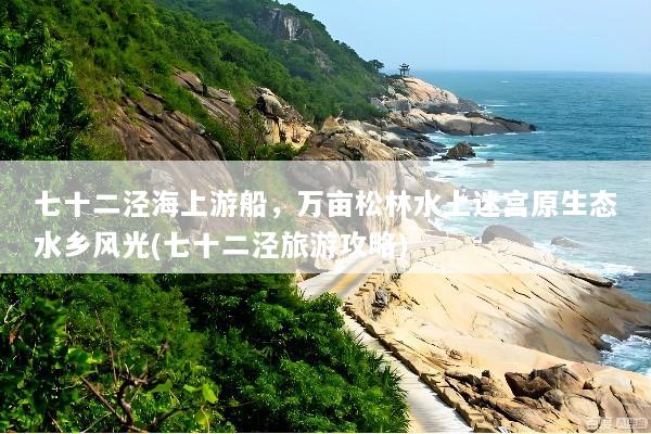 七十二泾海上游船，万亩松林水上迷宫原生态水乡风光(七十二泾旅游攻略)