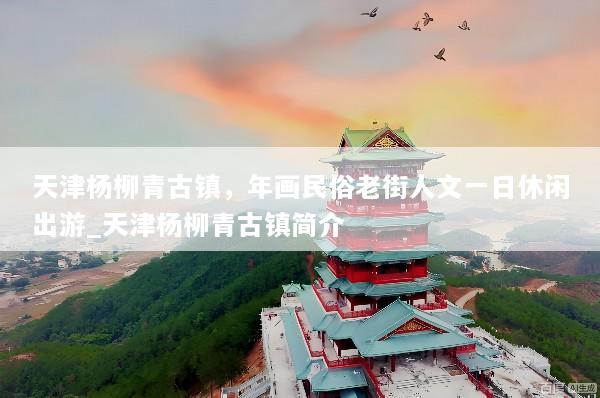 天津杨柳青古镇，年画民俗老街人文一日休闲出游_天津杨柳青古镇简介