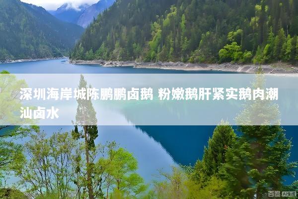 深圳海岸城陈鹏鹏卤鹅 粉嫩鹅肝紧实鹅肉潮汕卤水