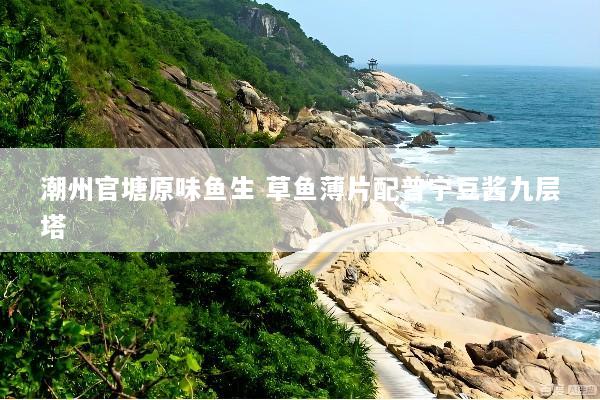潮州官塘原味鱼生 草鱼薄片配普宁豆酱九层塔