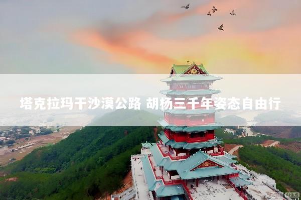 塔克拉玛干沙漠公路 胡杨三千年姿态自由行