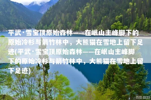 平武·雪宝顶原始森林——在岷山主峰脚下的原始冷杉与箭竹林中，大熊猫在雪地上留下足迹(平武·雪宝顶原始森林——在岷山主峰脚下的原始冷杉与箭竹林中，大熊猫在雪地上留下足迹)