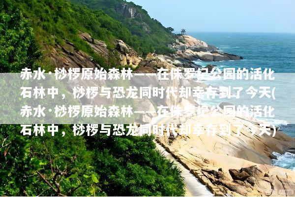 赤水·桫椤原始森林——在侏罗纪公园的活化石林中，桫椤与恐龙同时代却幸存到了今天(赤水·桫椤原始森林——在侏罗纪公园的活化石林中，桫椤与恐龙同时代却幸存到了今天)