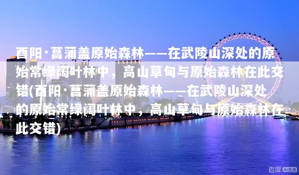 酉阳·菖蒲盖原始森林——在武陵山深处的原始常绿阔叶林中，高山草甸与原始森林在此交错(酉阳·菖蒲盖原始森林——在武陵山深处的原始常绿阔叶林中，高山草甸与原始森林在此交错)