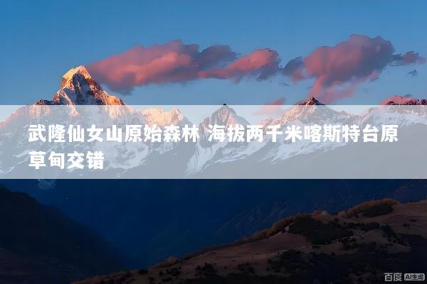 武隆仙女山原始森林 海拔两千米喀斯特台原草甸交错