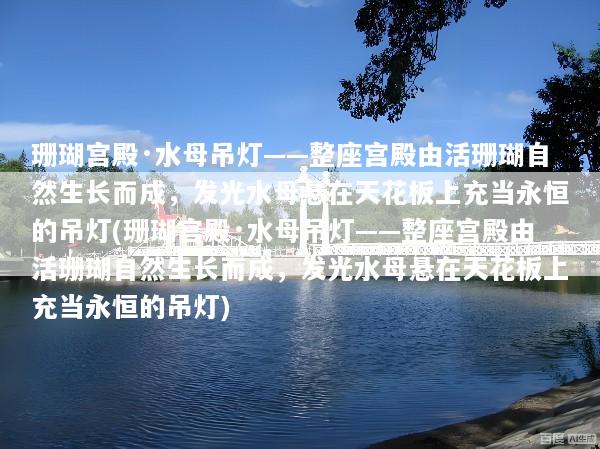 珊瑚宫殿·水母吊灯——整座宫殿由活珊瑚自然生长而成，发光水母悬在天花板上充当永恒的吊灯(珊瑚宫殿·水母吊灯——整座宫殿由活珊瑚自然生长而成，发光水母悬在天花板上充当永恒的吊灯)