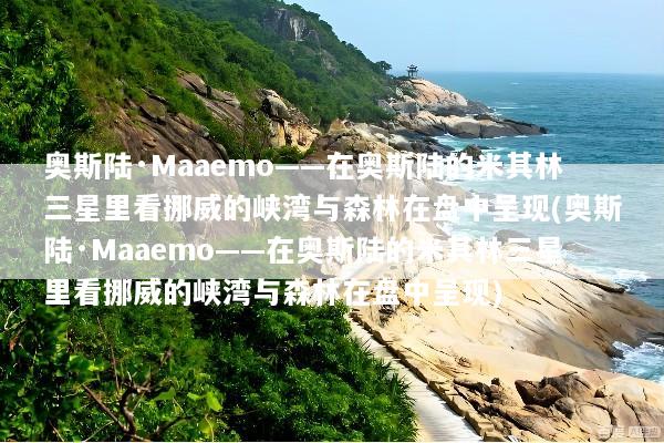 奥斯陆·Maaemo——在奥斯陆的米其林三星里看挪威的峡湾与森林在盘中呈现(奥斯陆·Maaemo——在奥斯陆的米其林三星里看挪威的峡湾与森林在盘中呈现)