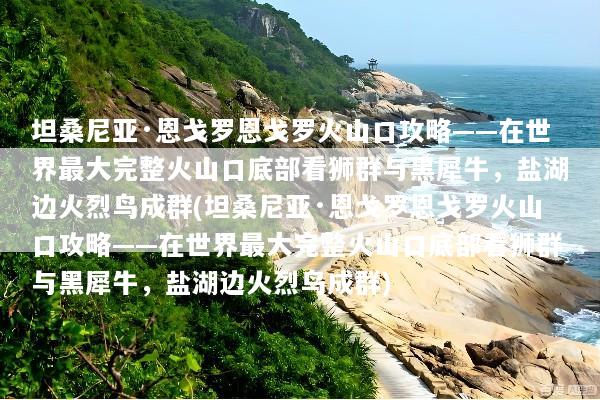 坦桑尼亚·恩戈罗恩戈罗火山口攻略——在世界最大完整火山口底部看狮群与黑犀牛，盐湖边火烈鸟成群(坦桑尼亚·恩戈罗恩戈罗火山口攻略——在世界最大完整火山口底部看狮群与黑犀牛，盐湖边火烈鸟成群)