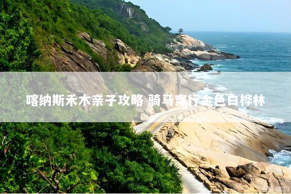 喀纳斯禾木亲子攻略 骑马穿行金色白桦林