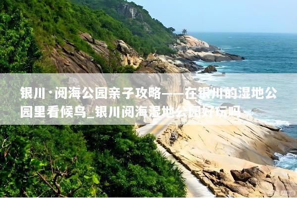 银川·阅海公园亲子攻略——在银川的湿地公园里看候鸟_银川阅海湿地公园好玩吗