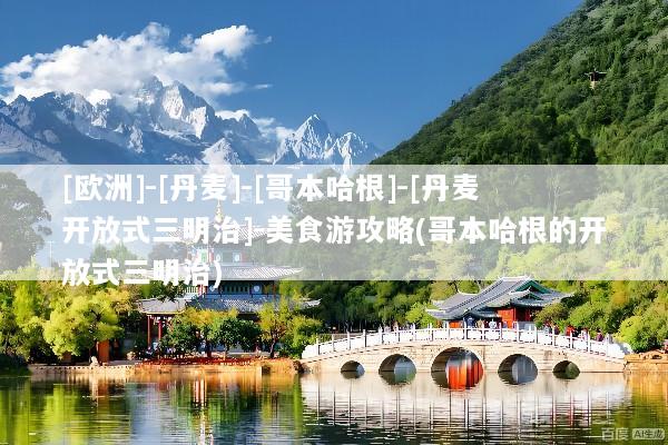 [欧洲]-[丹麦]-[哥本哈根]-[丹麦开放式三明治]-美食游攻略(哥本哈根的开放式三明治)