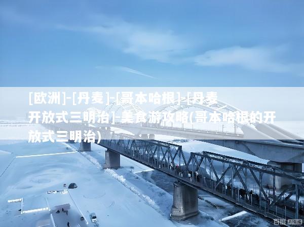 [欧洲]-[丹麦]-[哥本哈根]-[丹麦开放式三明治]-美食游攻略(哥本哈根的开放式三明治)