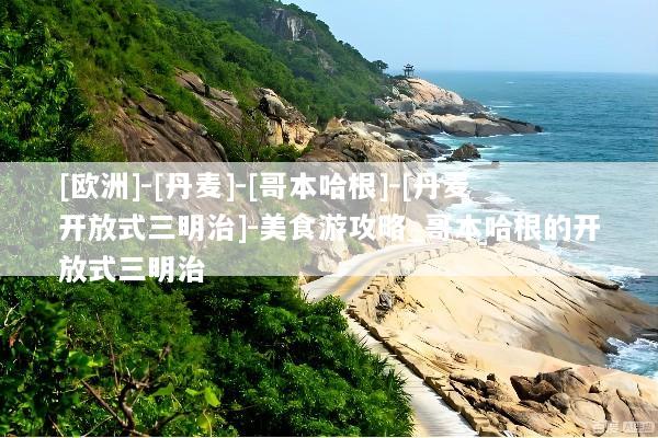 [欧洲]-[丹麦]-[哥本哈根]-[丹麦开放式三明治]-美食游攻略_哥本哈根的开放式三明治